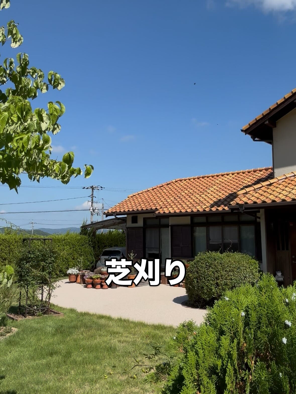 芝刈り