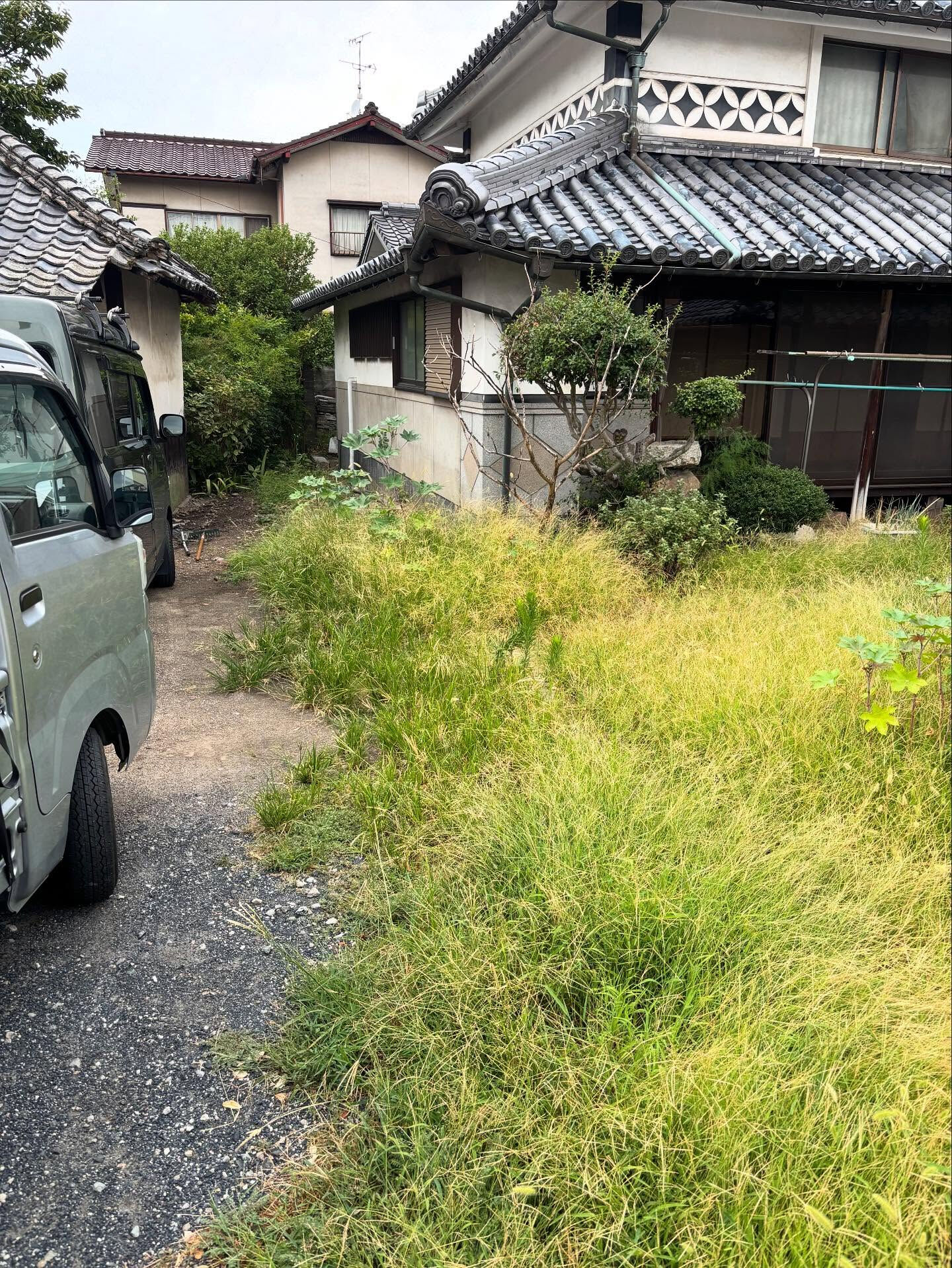 草むしり