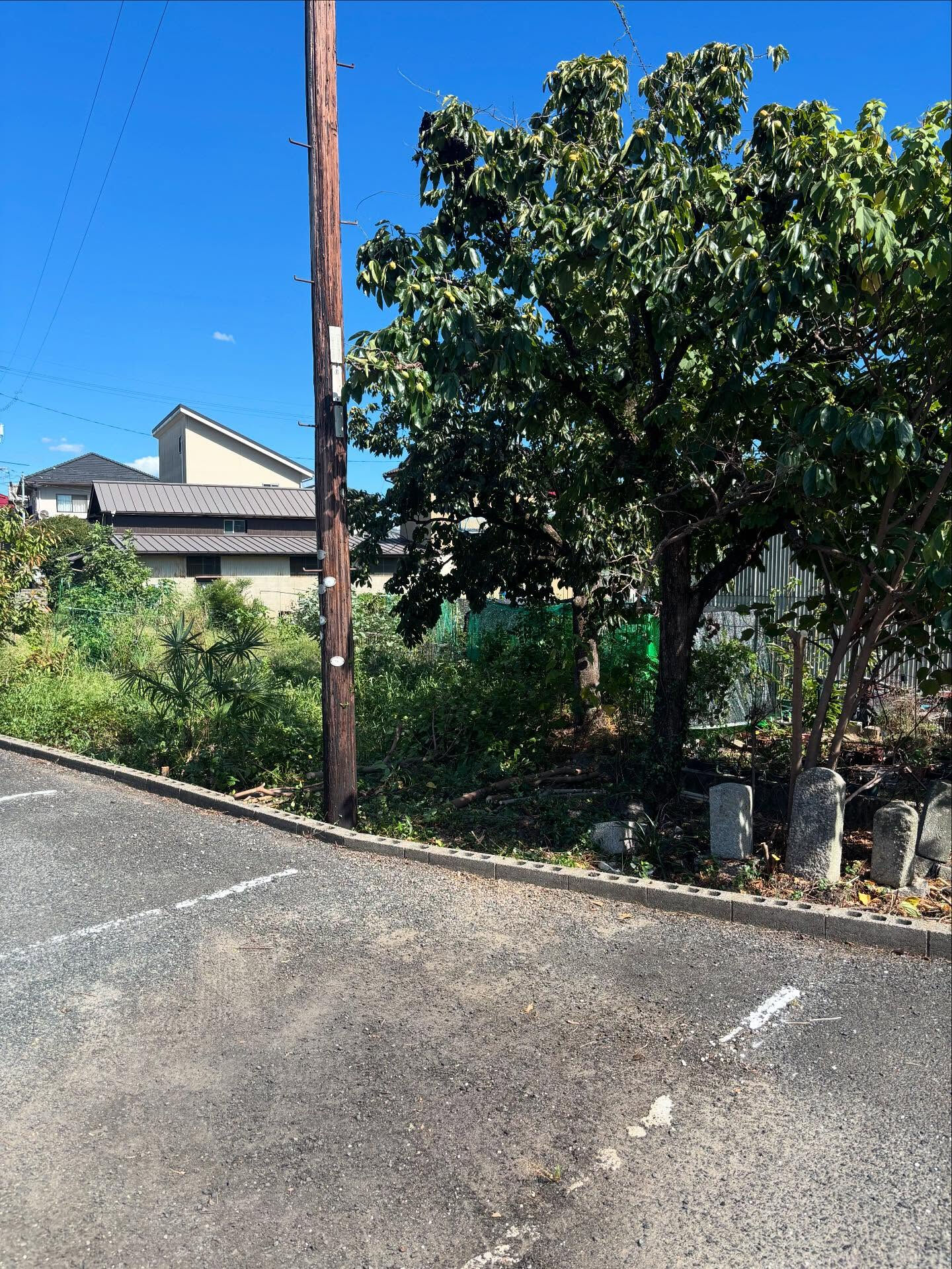 🪵【伐採作業のご依頼 in 総社市】