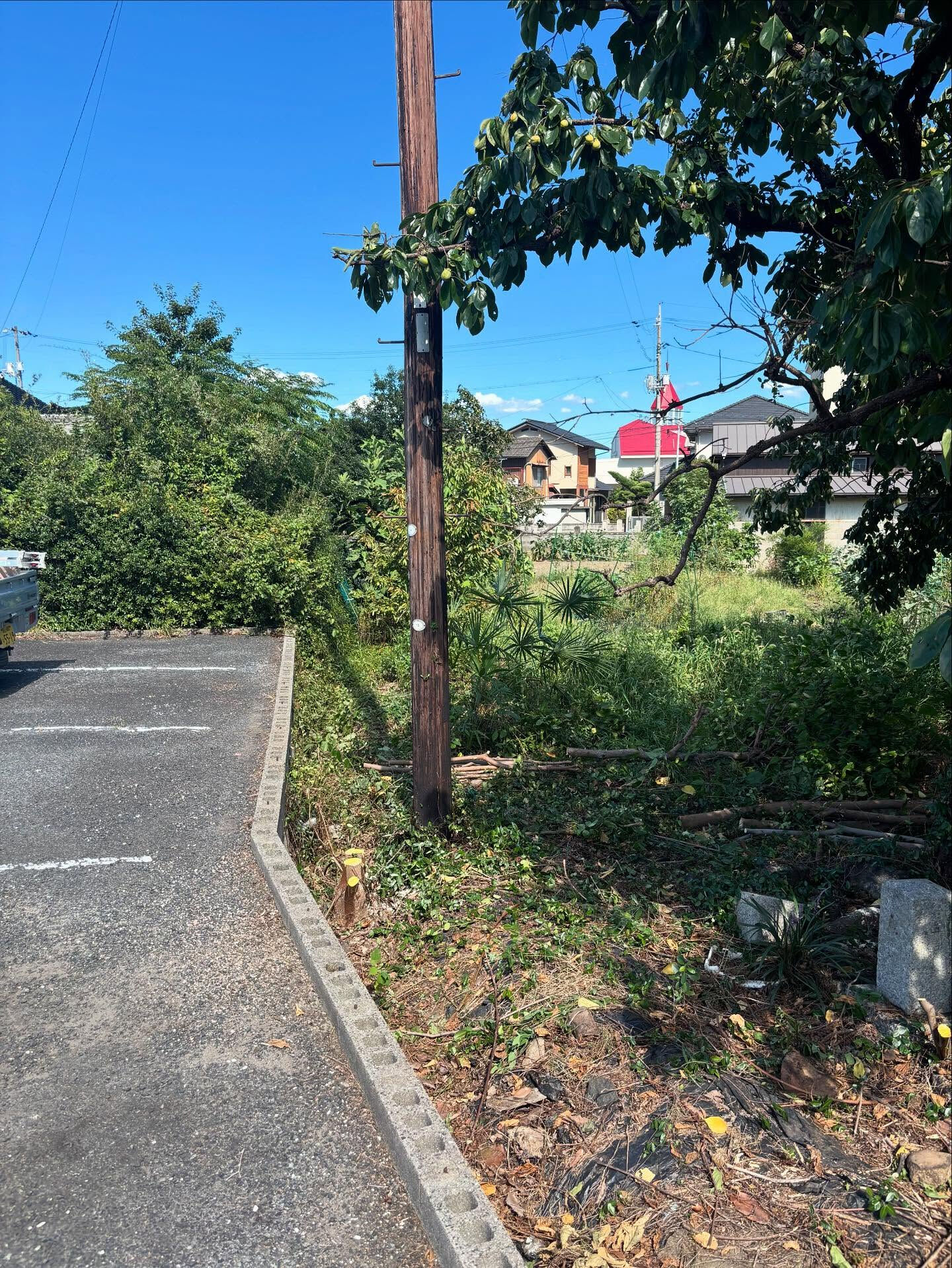 🪵【伐採作業のご依頼 in 総社市】
