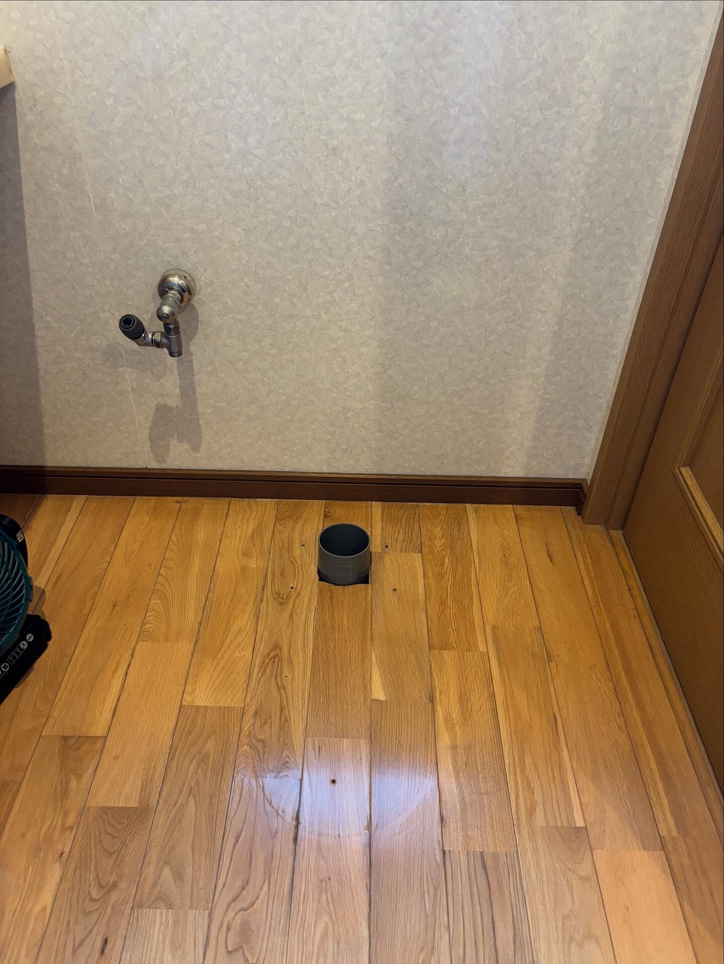 便器交換工事（お客様支給品）🚽