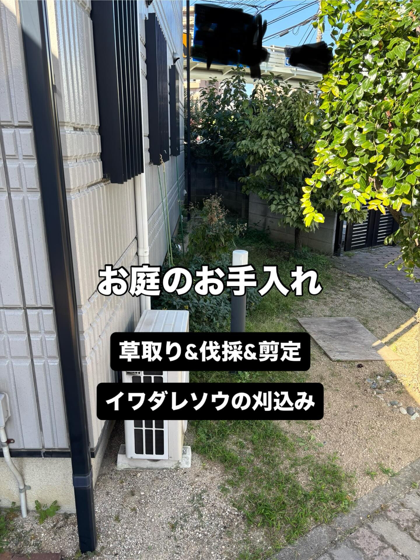 ✨リピーター様からのお庭のお手入れのご依頼✨