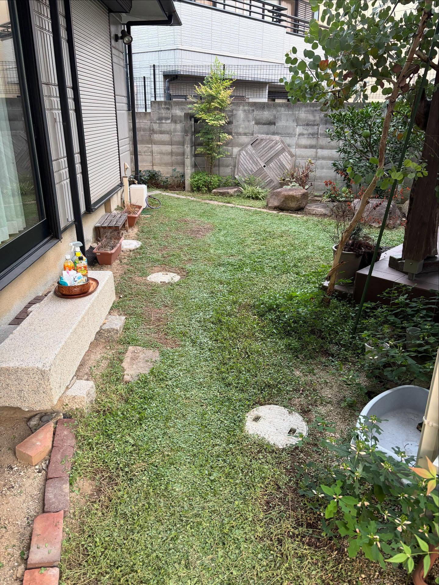 ✨リピーター様からのお庭のお手入れのご依頼✨