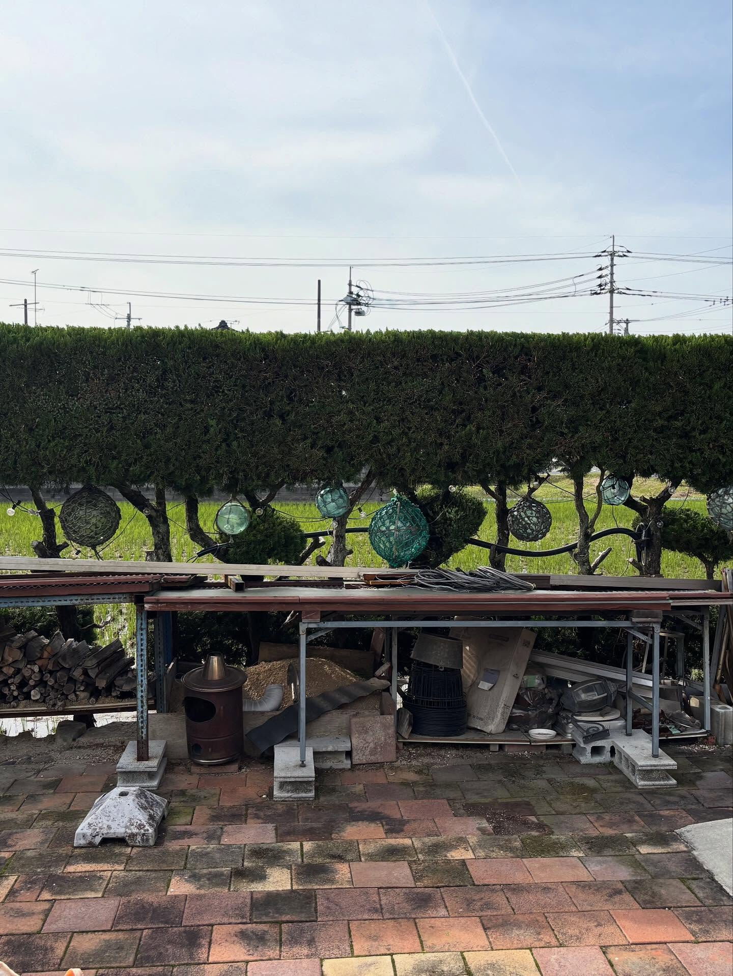 倉敷市のリピーター様よりカイヅカイブキの生垣剪定をご依頼いた