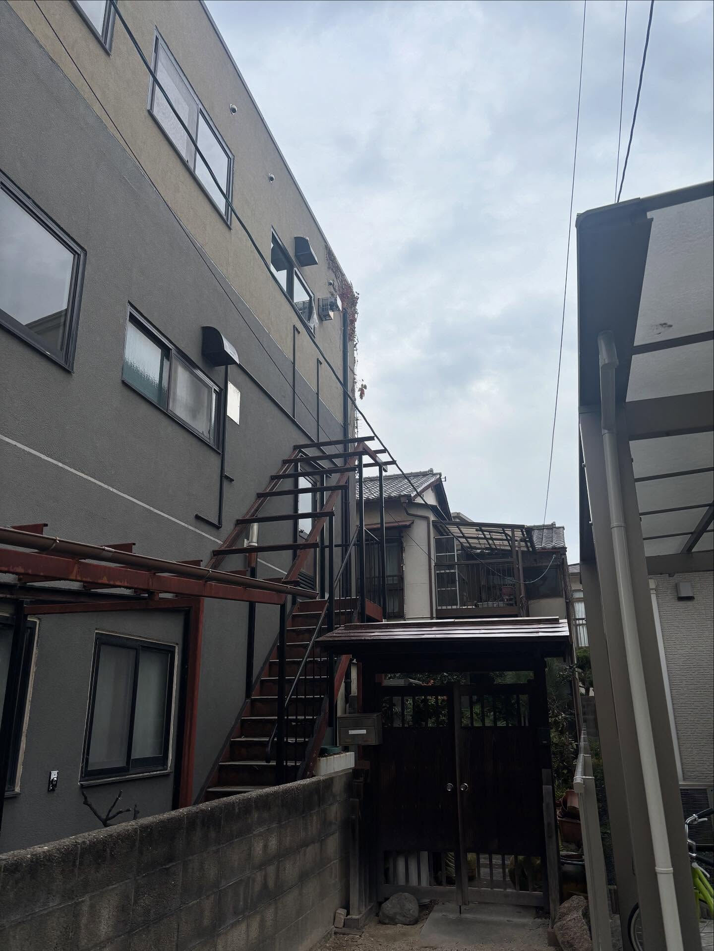 伐採🌳