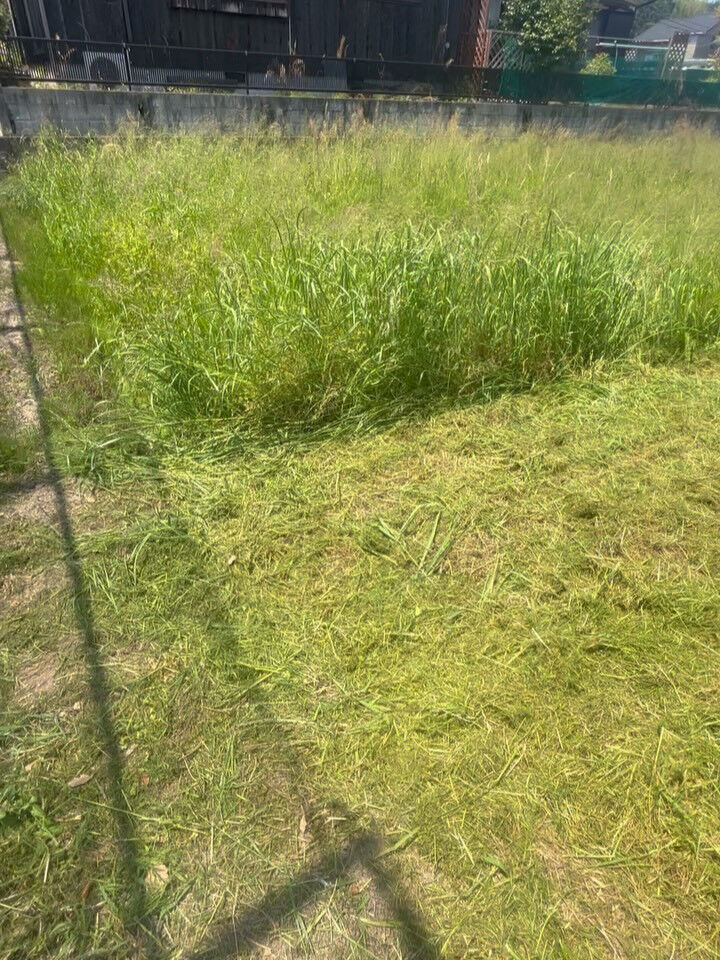 草刈り