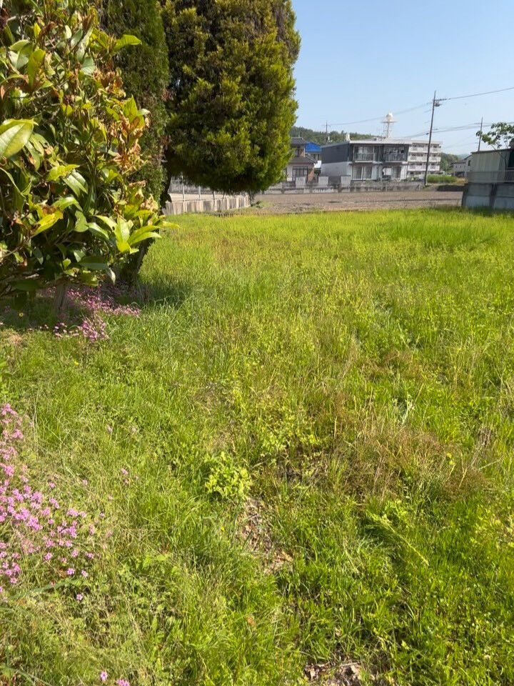 草刈り