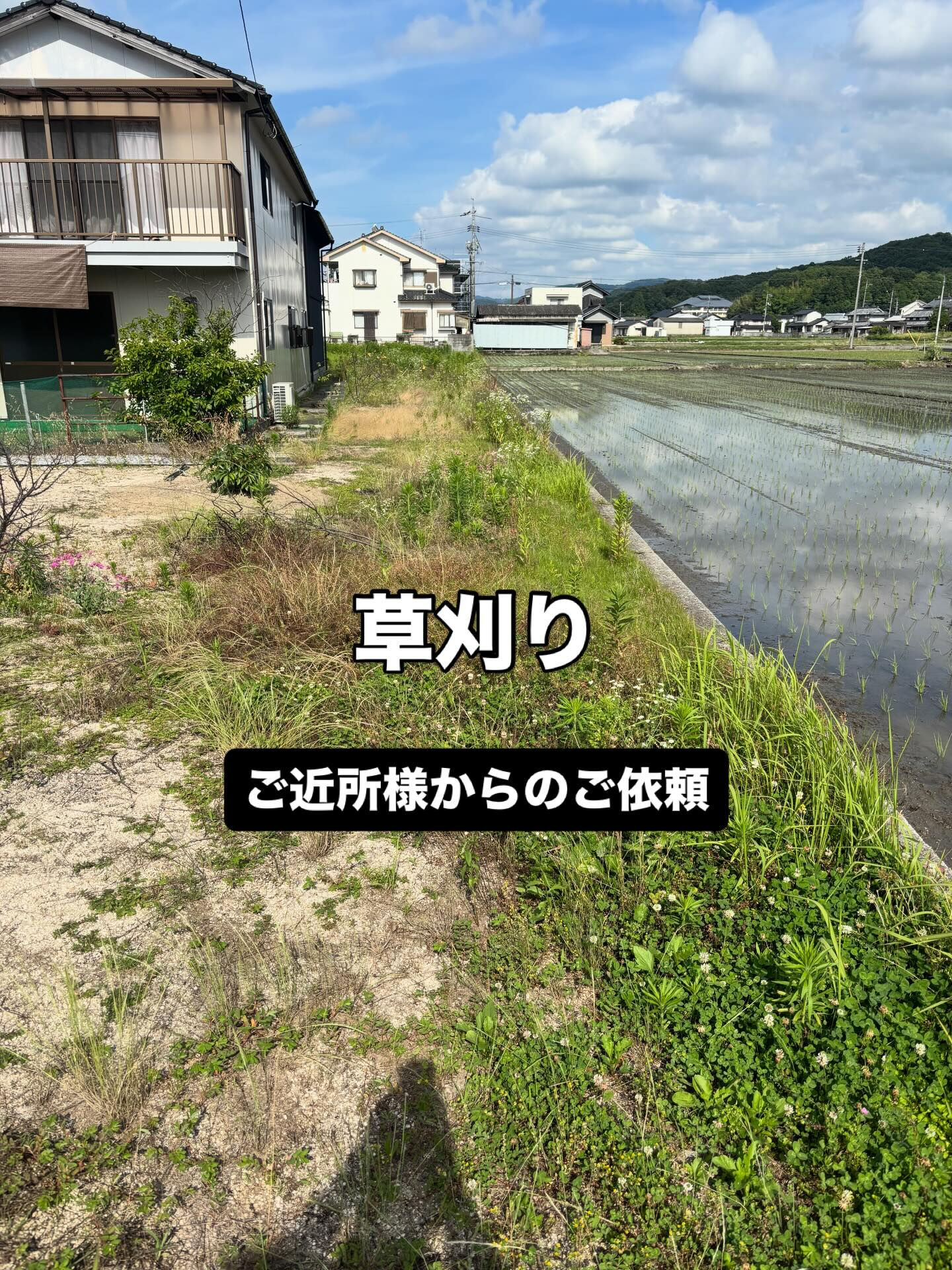 草刈り