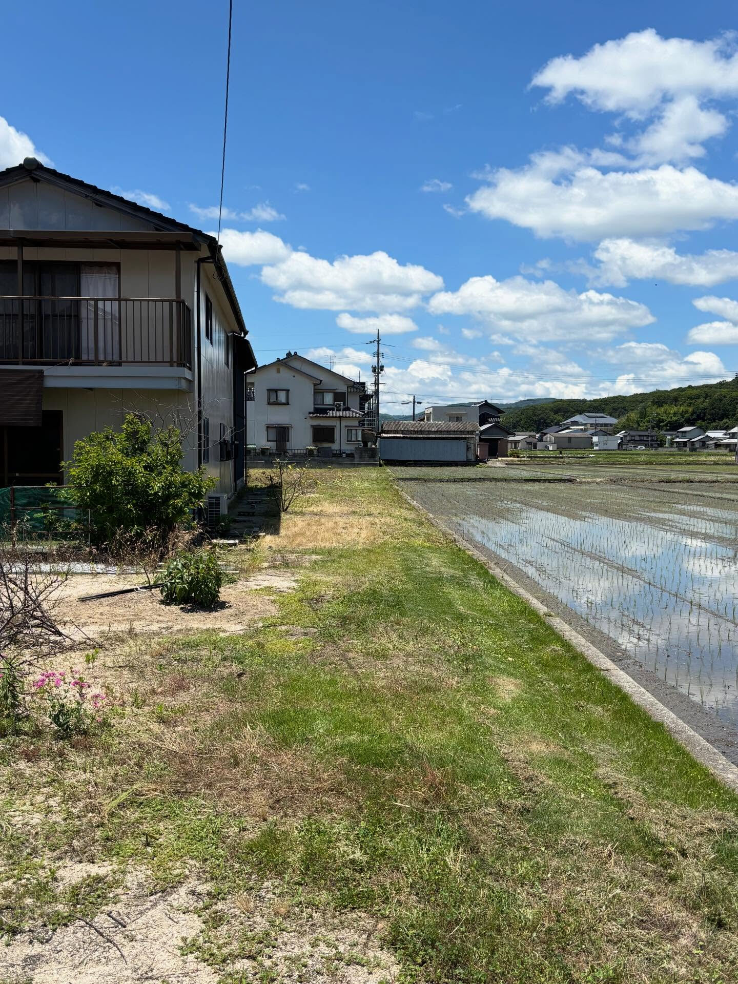 草刈り
