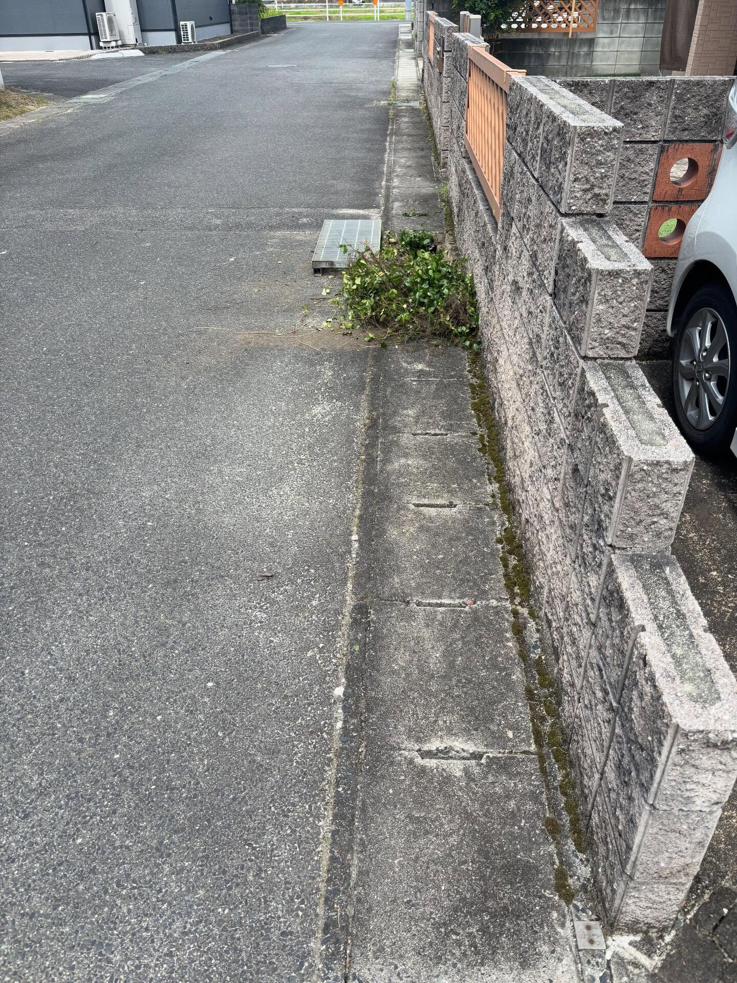 側溝のお掃除
