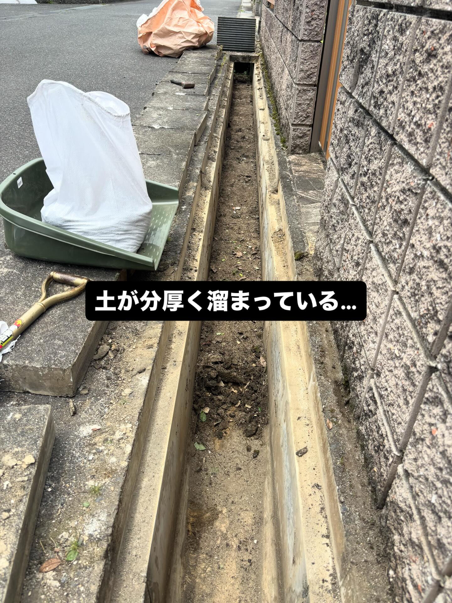 側溝のお掃除
