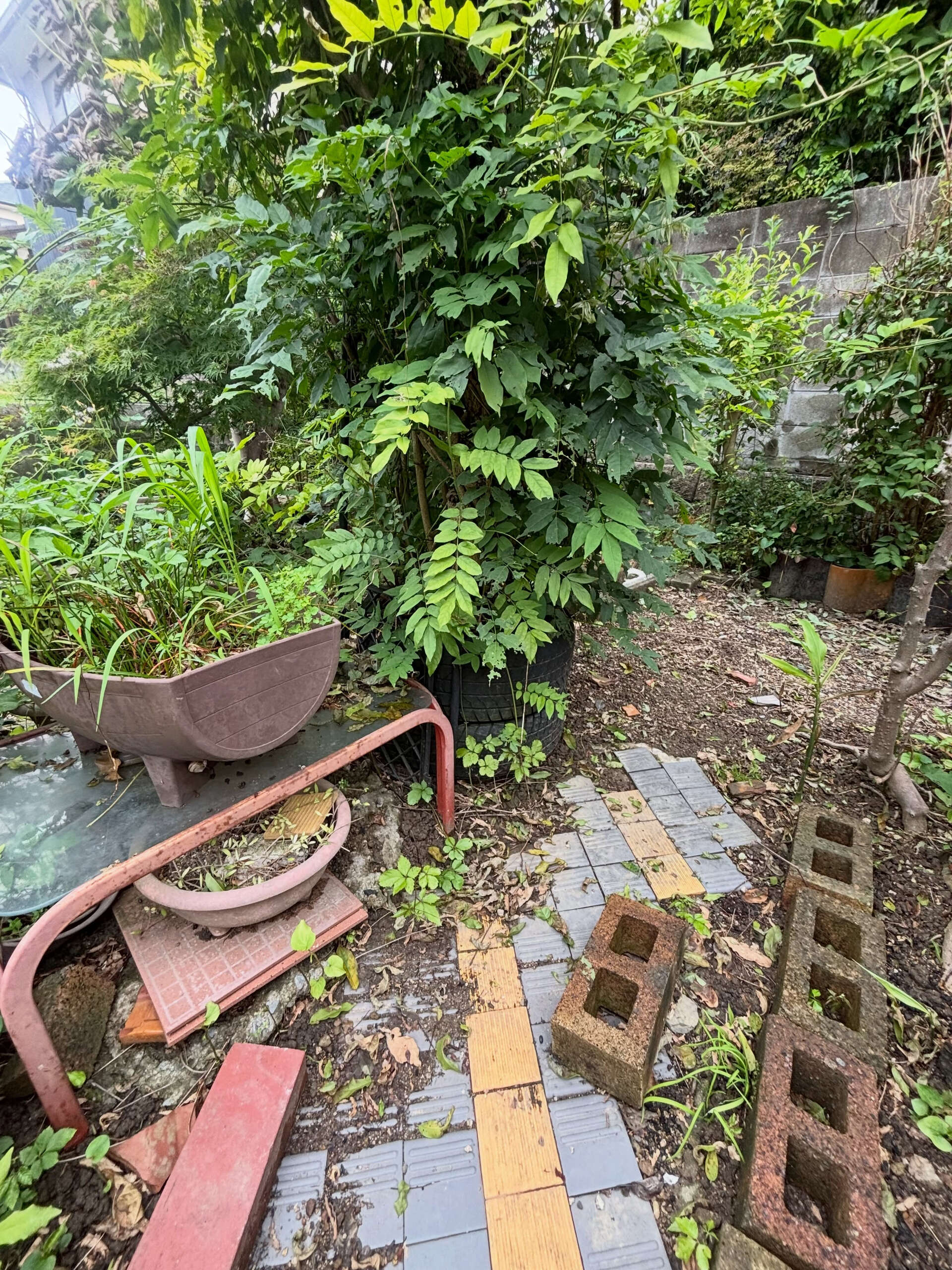 伐採、抜根、整地作業