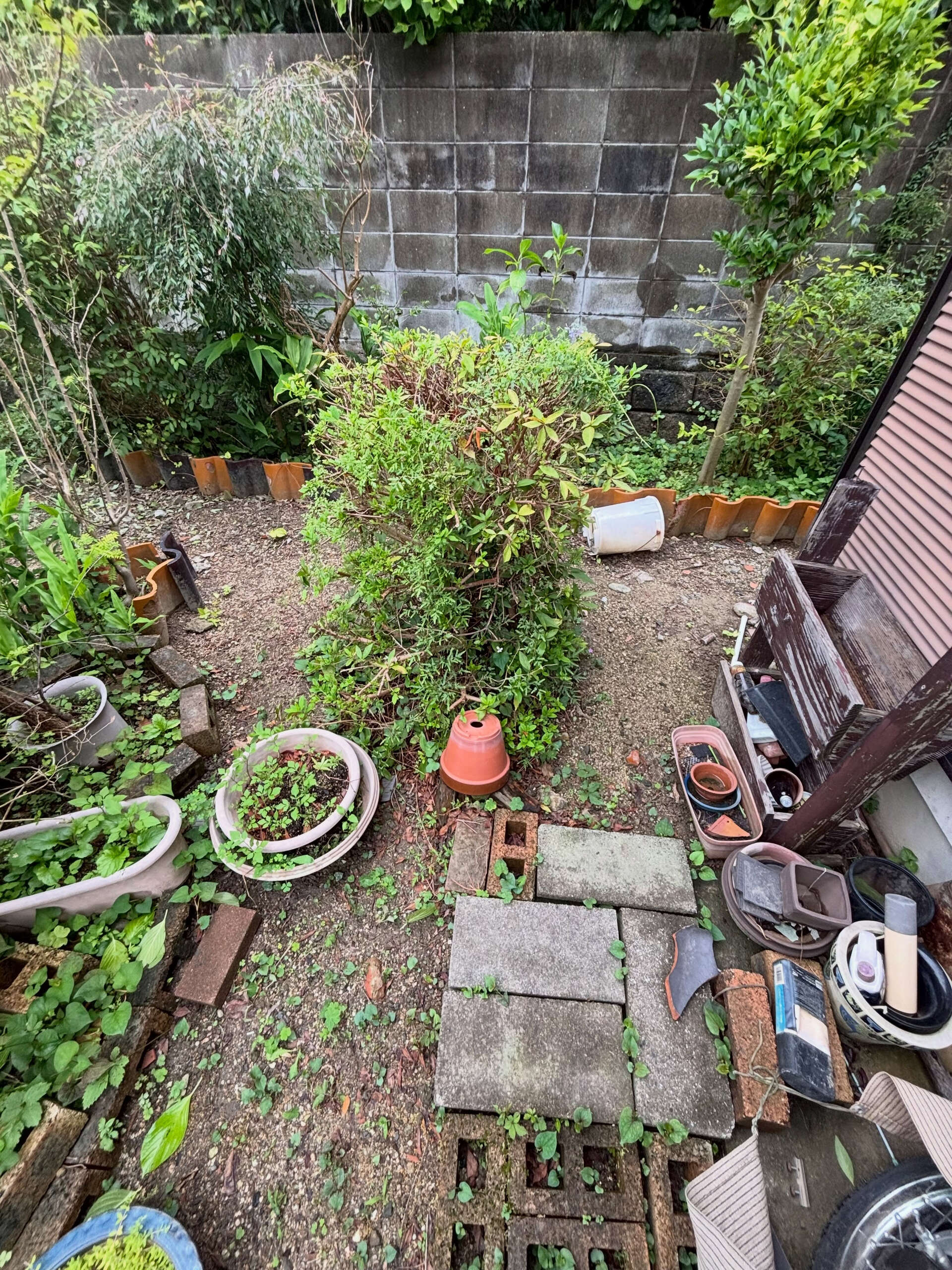 伐採、抜根、整地作業