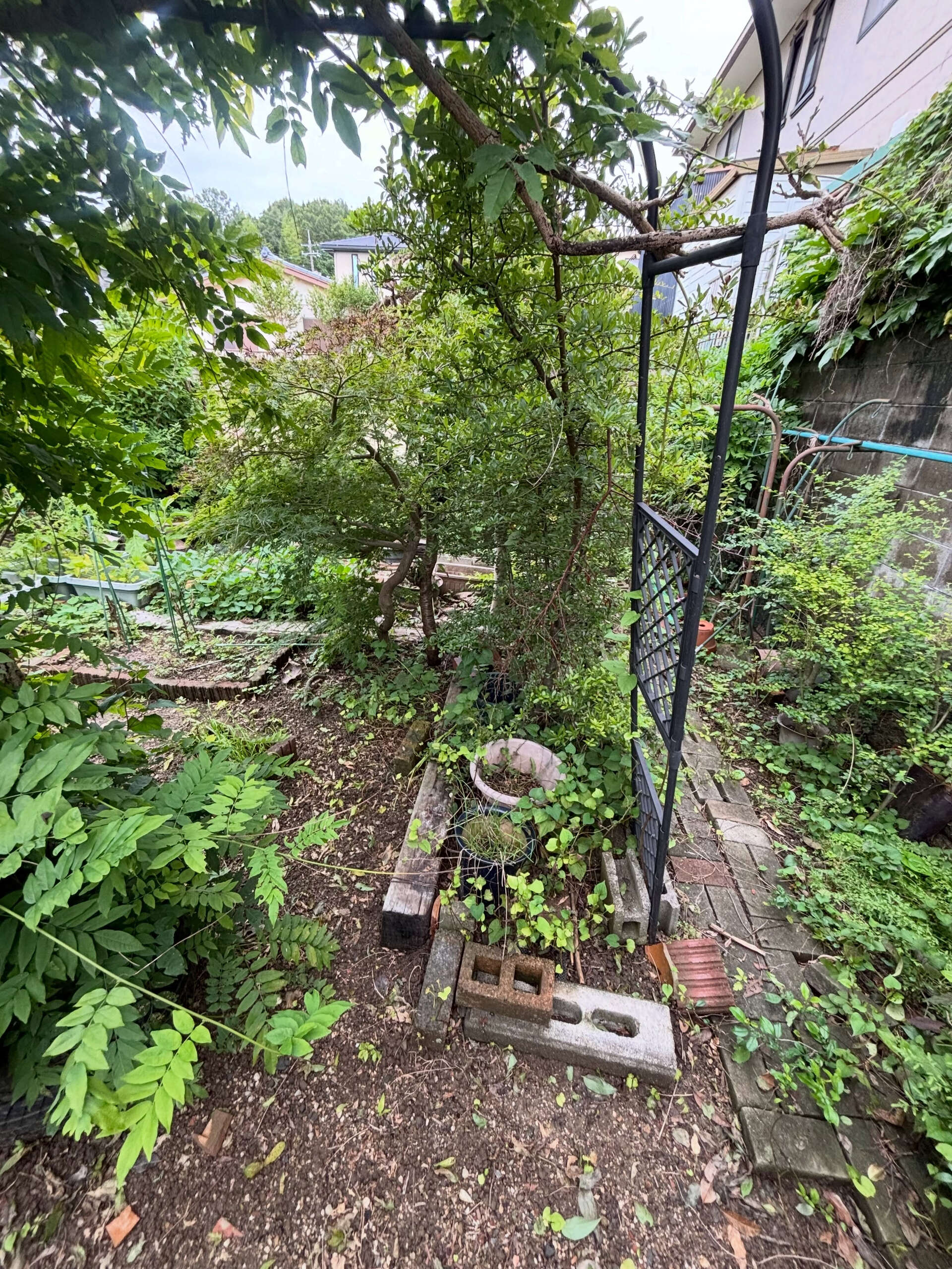 伐採、抜根、整地作業