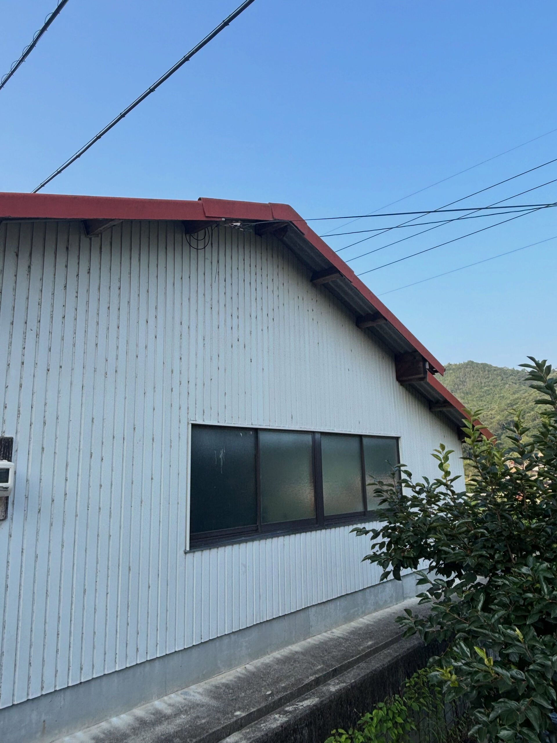 ハチ駆除