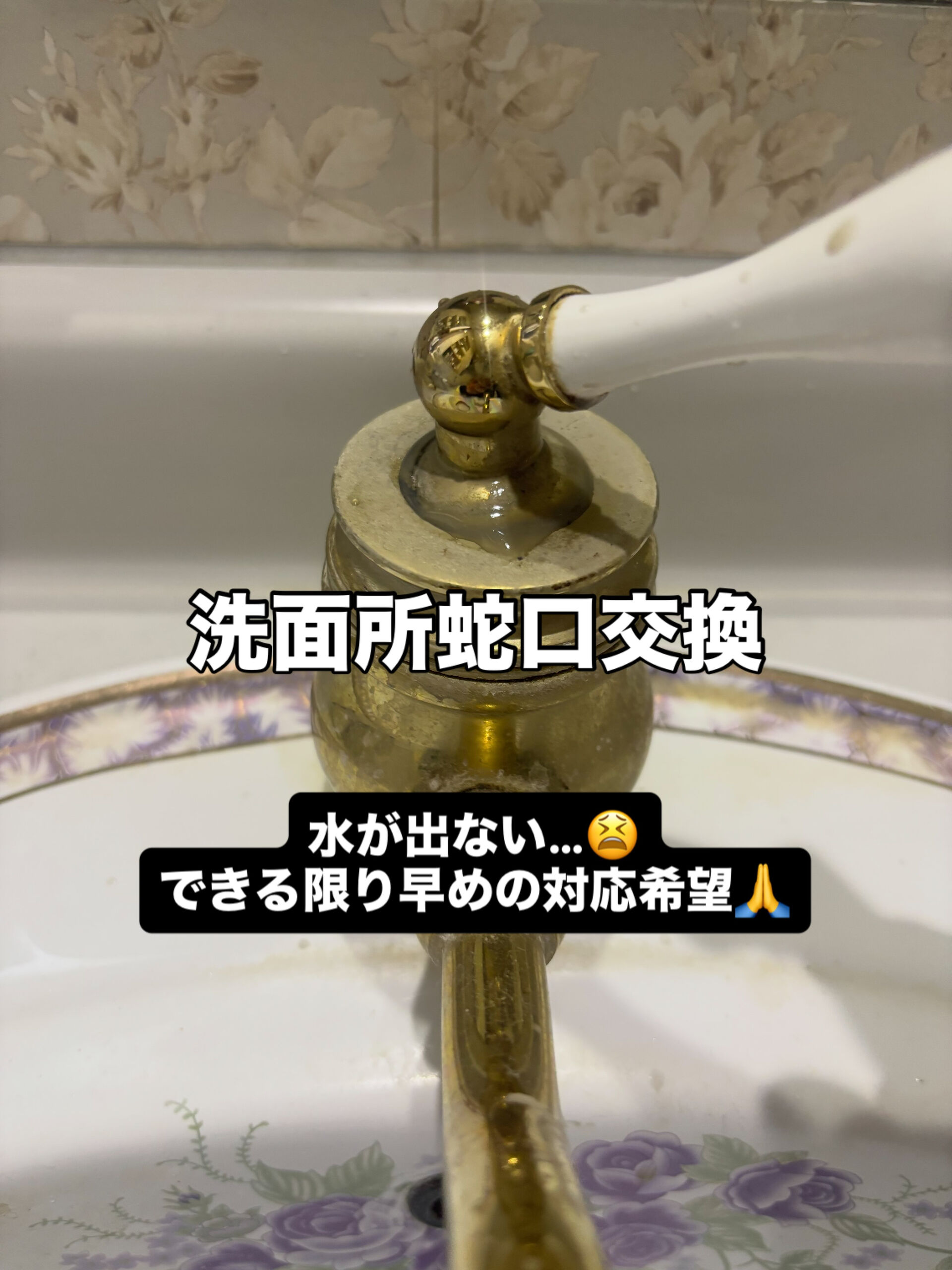 洗面所蛇口交換