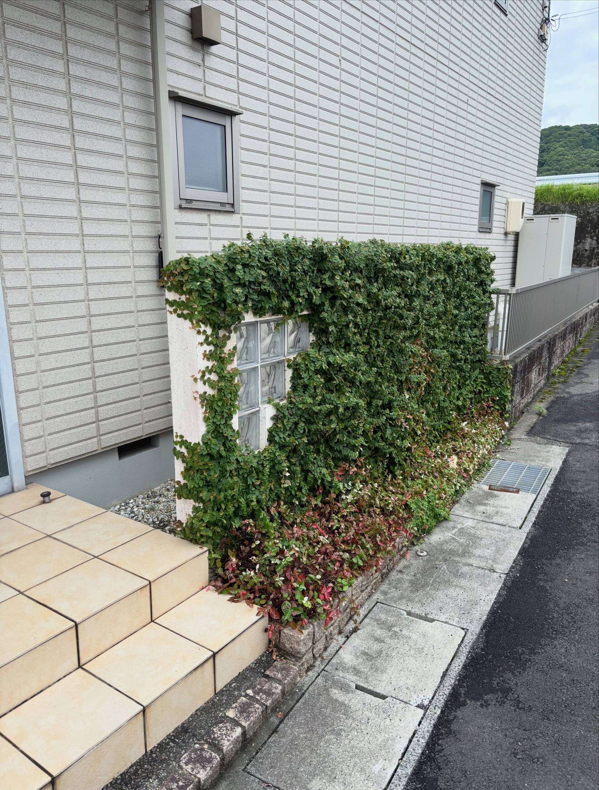 外構壁塗装