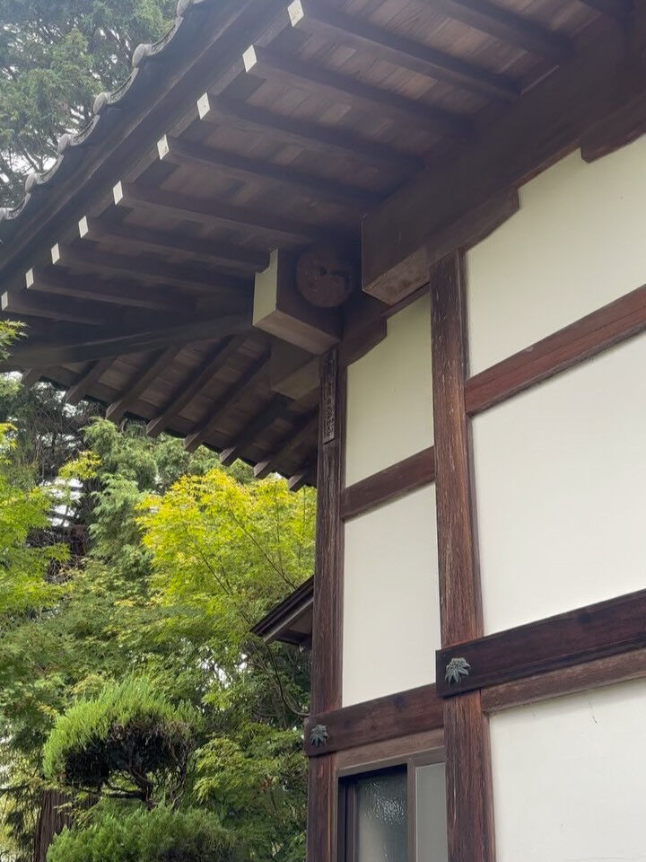 スズメバチ駆除