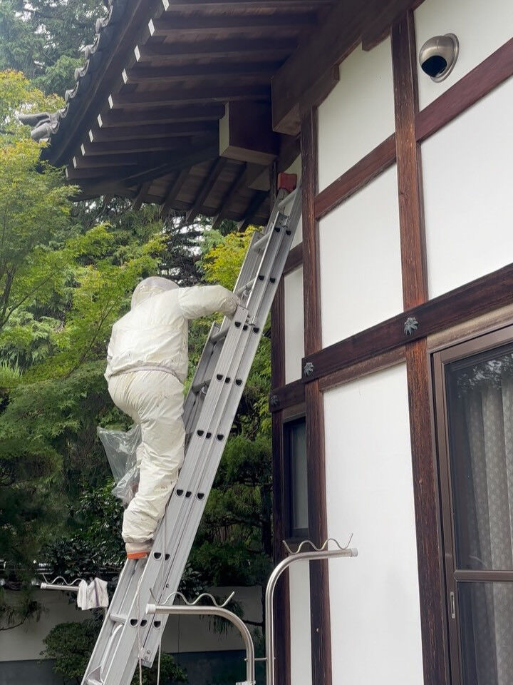スズメバチ駆除